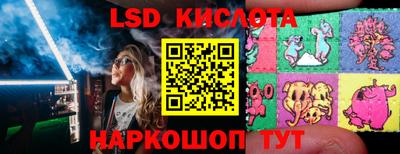 бошки Донецк